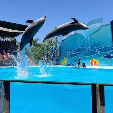 Проживание в семье Charmoso A 300m Da De Olhos De Agua !